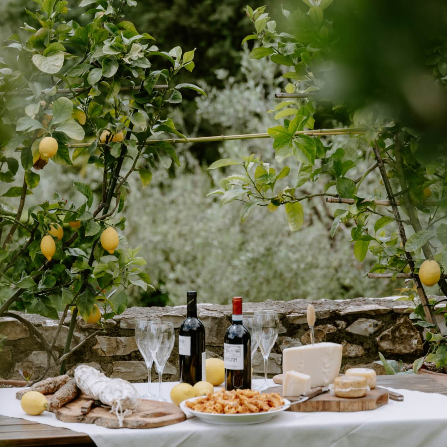 Tavola rustica all’aperto con piatti di pasta, formaggi, salumi, limoni e due bottiglie di vino rosso, circondata da piante di limone e vegetazione mediterranea, evocando un’atmosfera toscana autentica.