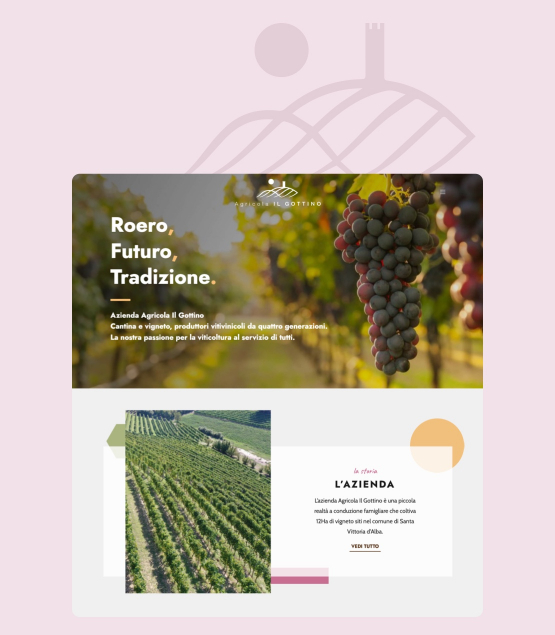 Roero wines between tradition and modernity. Website development for Il Gottino Company